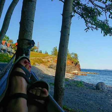 Hjellup Fjordbo بيت للعطل